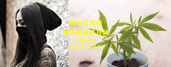экстази Гусев