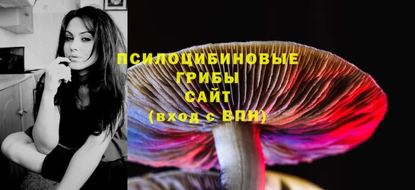 круглые Гусь-Хрустальный